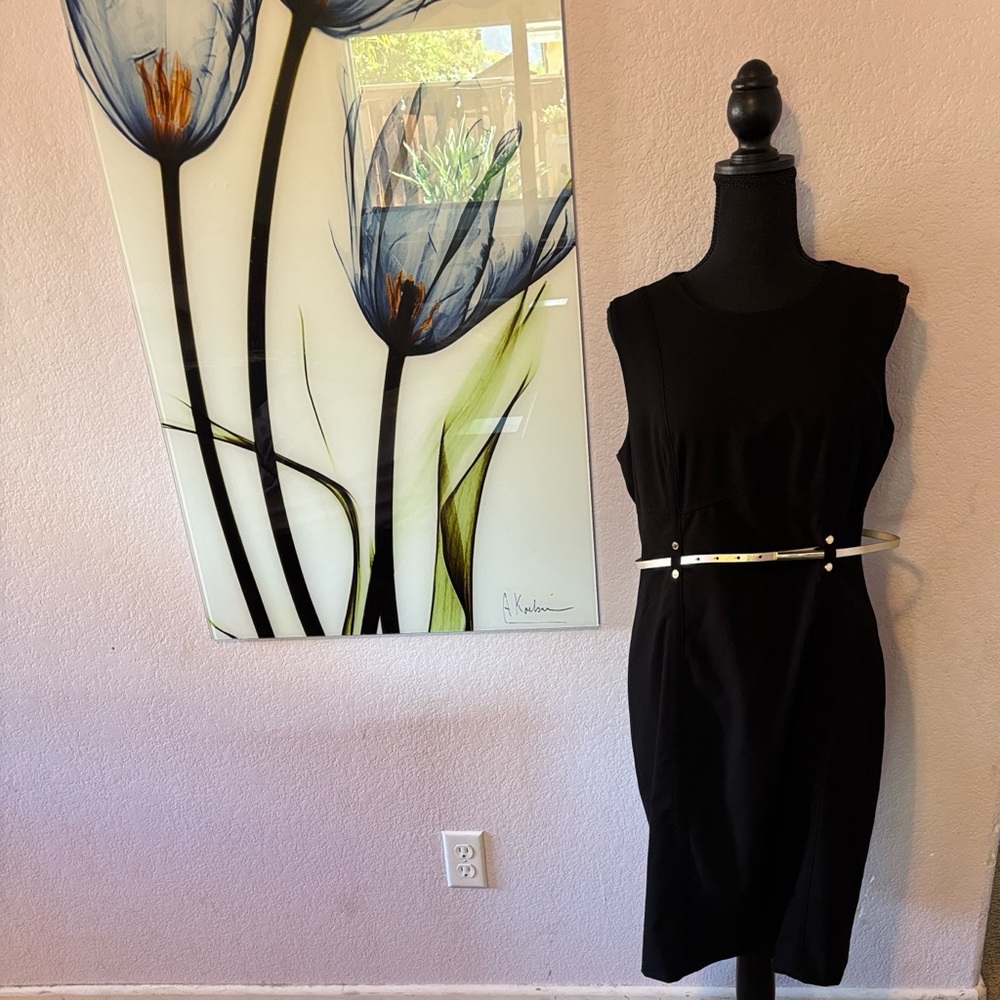 Calvin Klein dress size 12
